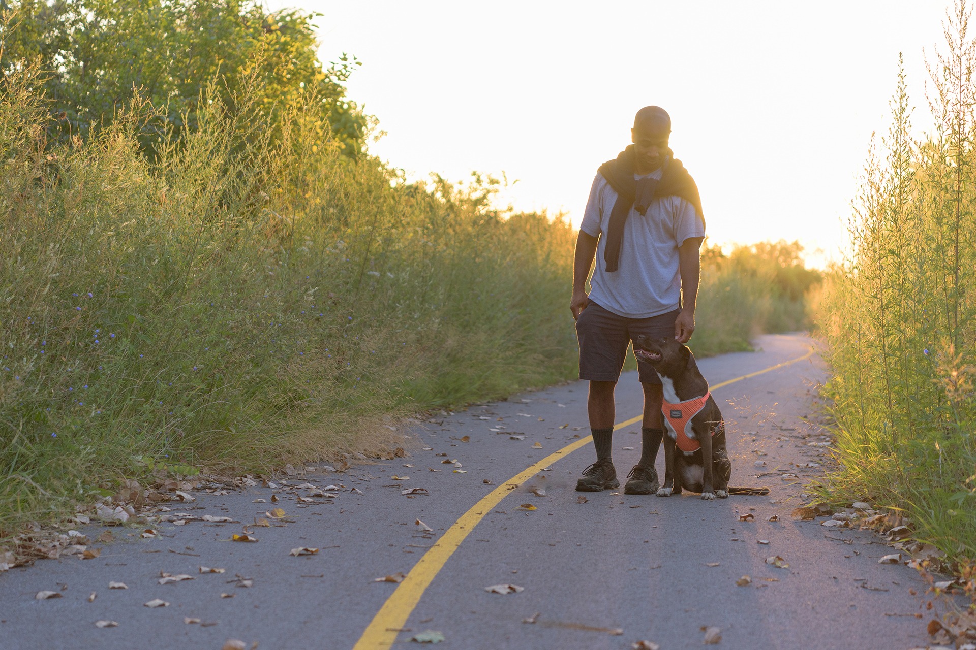 Runner pushing a stroller along a sunlit trail